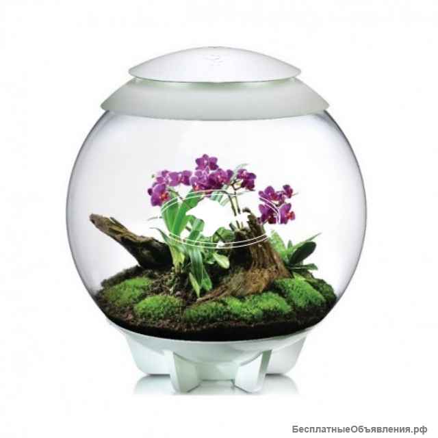 Автоматический ФЛОРАРИУМ