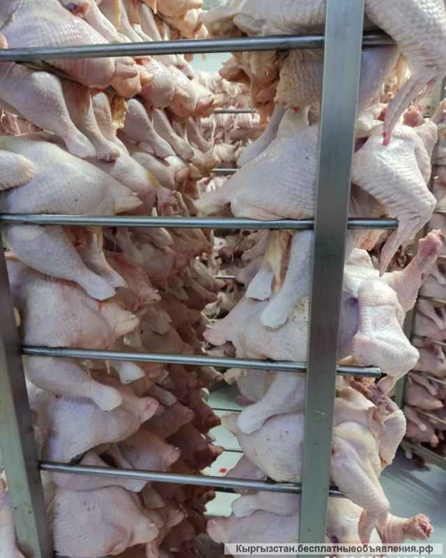 Тушки Бролерных курей
