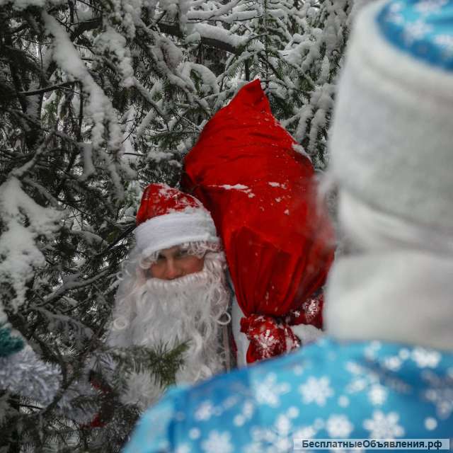 Дед Мороз и Снегурка + медведь в подарок