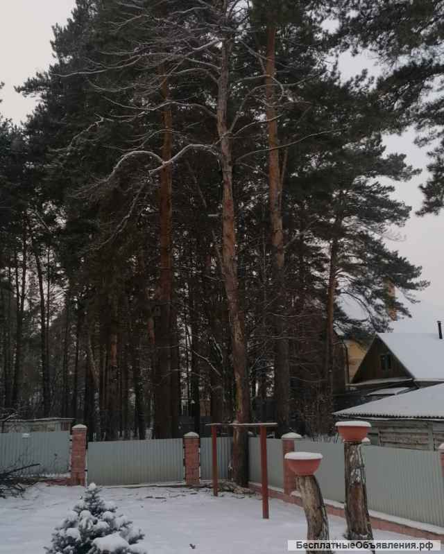 Профессиональный спил деревьев