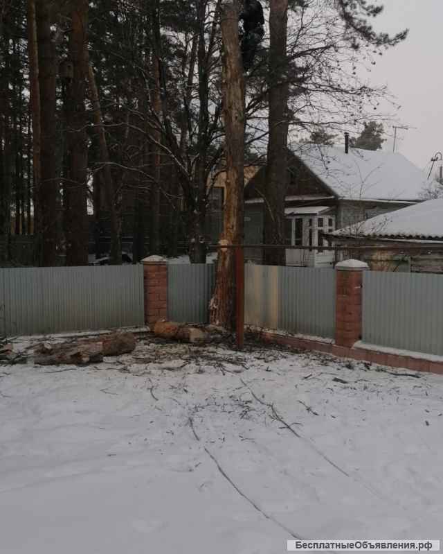 Профессиональный спил деревьев