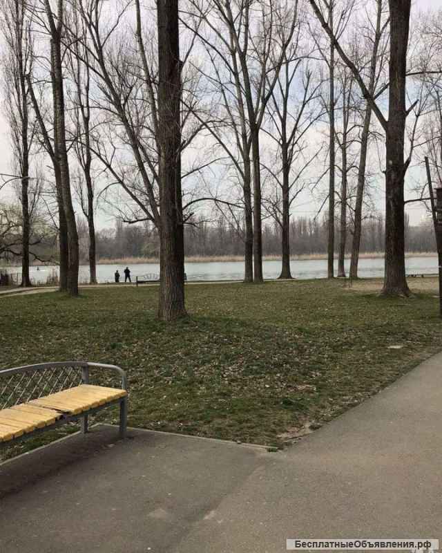 Нежилой цоколь под любой вид деятельности