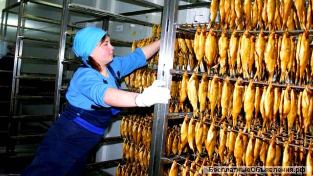 Действующее рыбное пищевое производство. 3 млн выручки