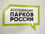 Креативные POS материалы