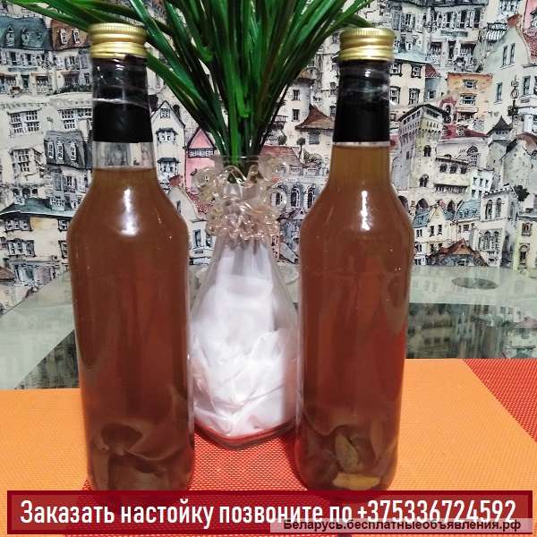 Настойку гриба веселка