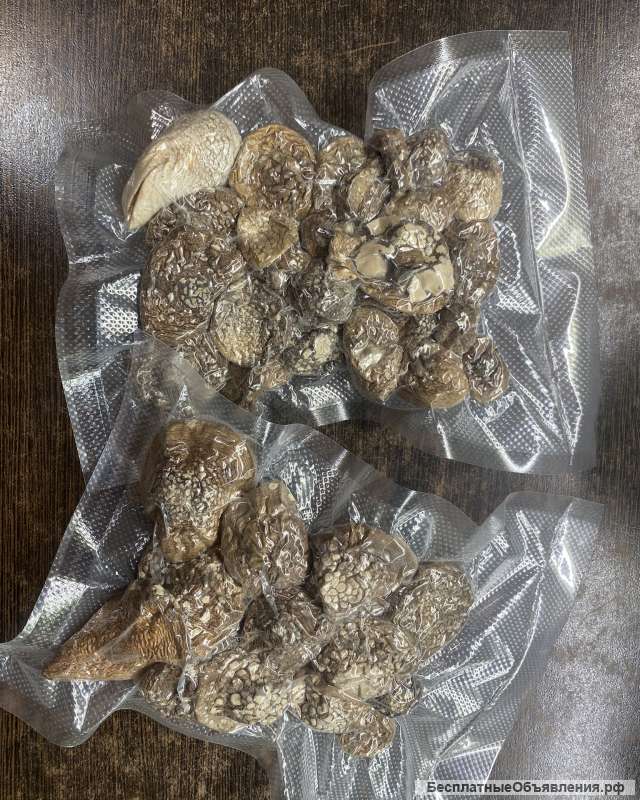 Волшебные грибы