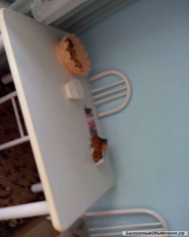 Собственник сдаст квартиру в центре Омска