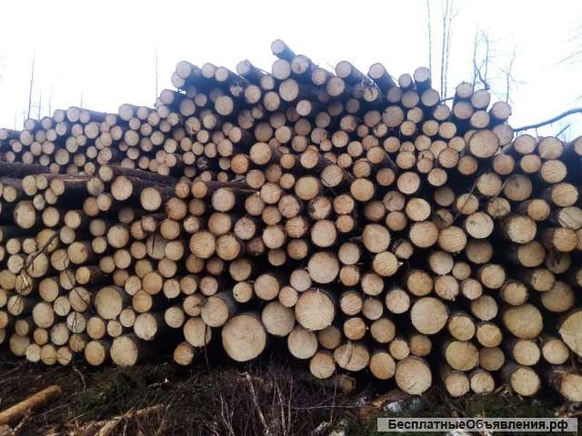 Лес кругляк хвойный баланс береза