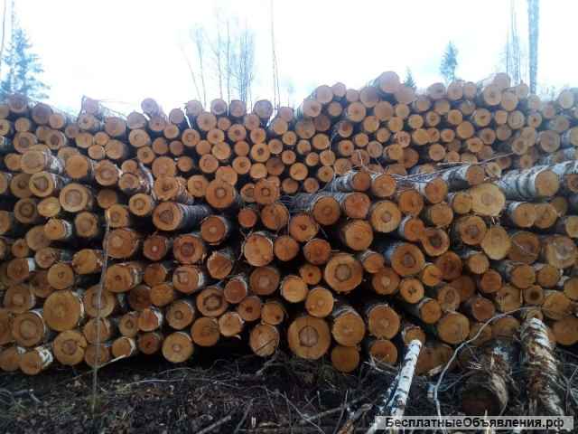 Лес кругляк хвойный баланс береза