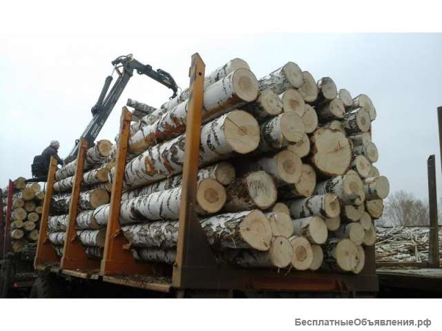 Закупаем кругляк береза осина ольха на дрова
