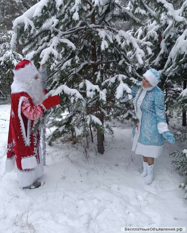 Дед Мороз и Снегурочка с доставкой на дом
