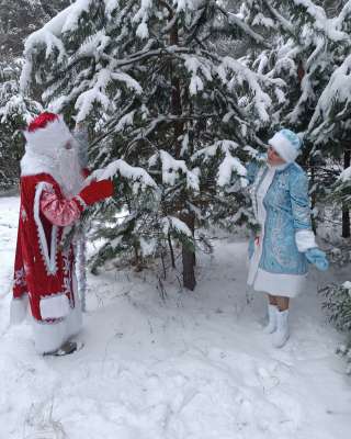 Дед Мороз и Снегурочка с доставкой на дом