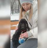 Сама красота и очарование пес Пуфик в добрые руки