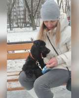 Сама красота и очарование пес Пуфик в добрые руки