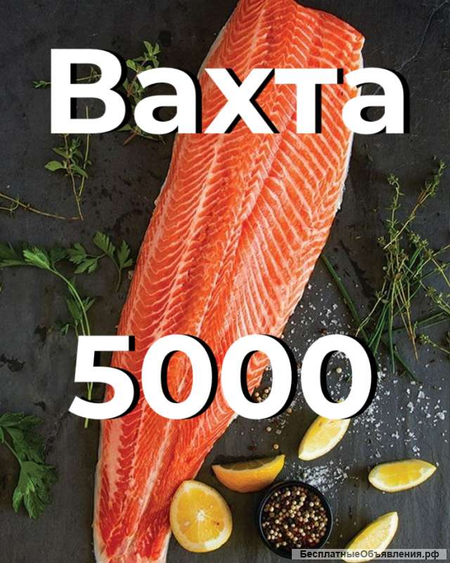 Упаковщик Москва вахта с проживанием и питанием от 15 смен