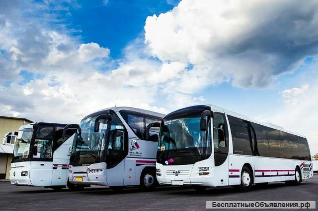 Въезд выезд за миграционной картой