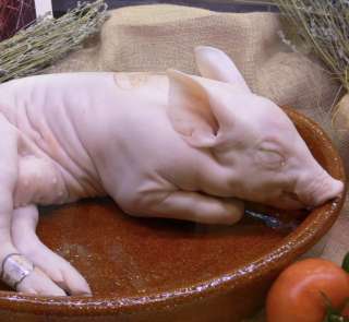 Молочные поросята 1,5-6 кг