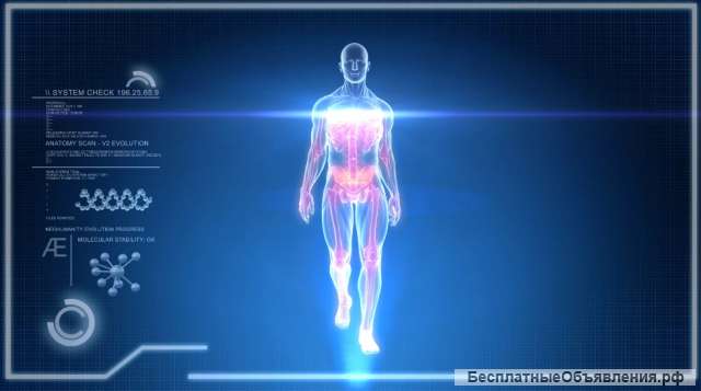 Диагностика организма