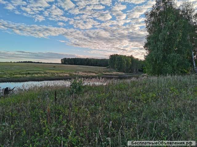 Участок 4.7га, КФХ