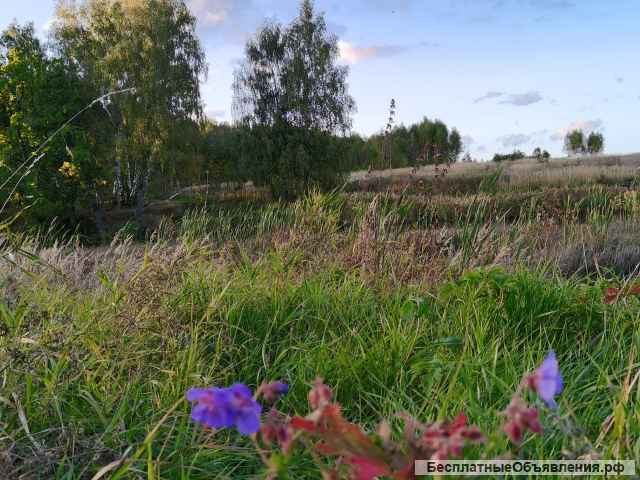 Участок 4.7га, КФХ