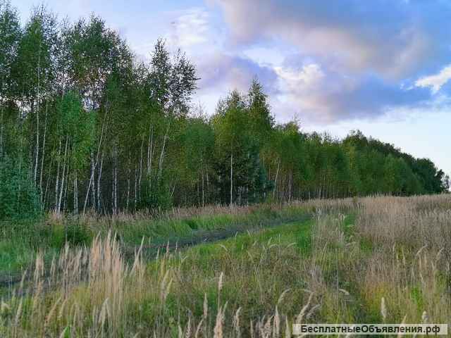 Участок 4.7га, КФХ