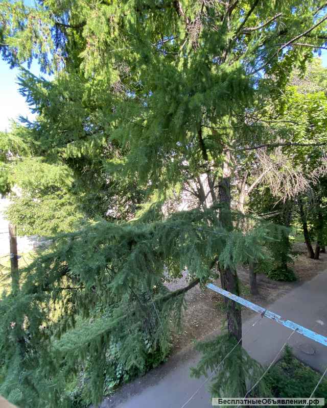 2-ух комнатную квартиру