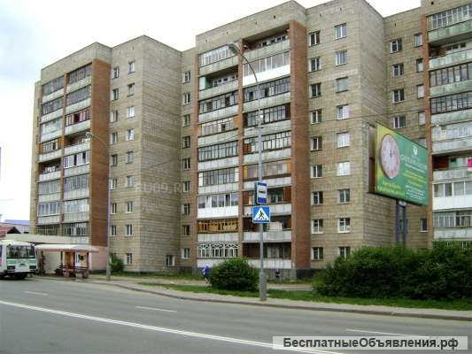 1к квартира, Елизаровых 50