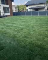 Укладка рулонного газона. Услуги дизайнера.