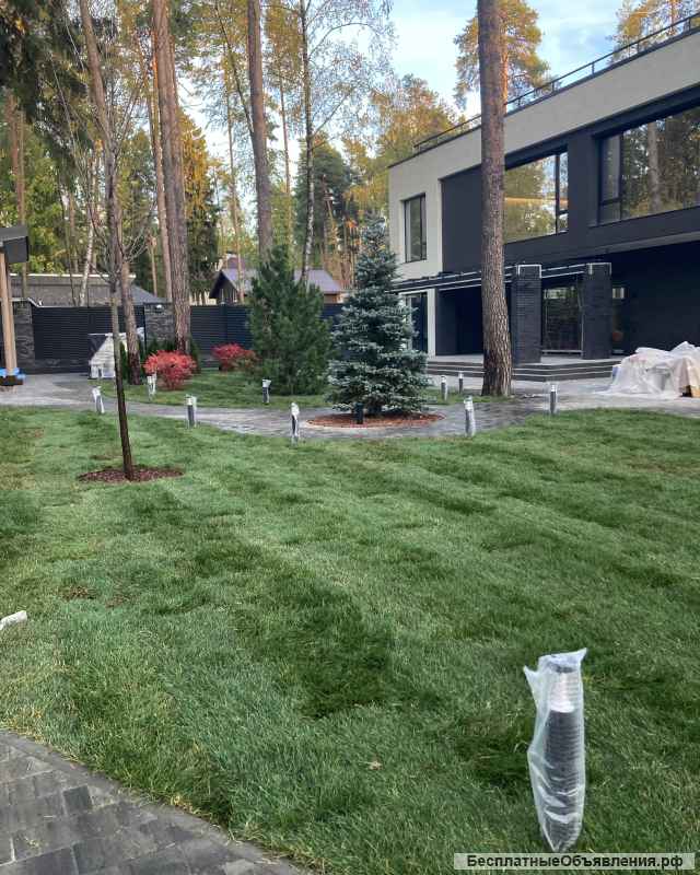 Укладка рулонного газона. Услуги дизайнера.