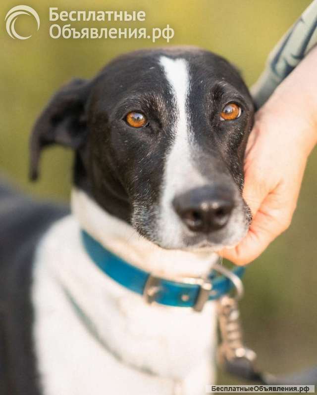 Тихон нуждается в новой истории