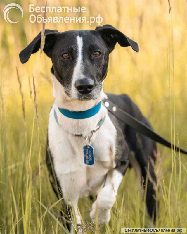 Тихон нуждается в новой истории