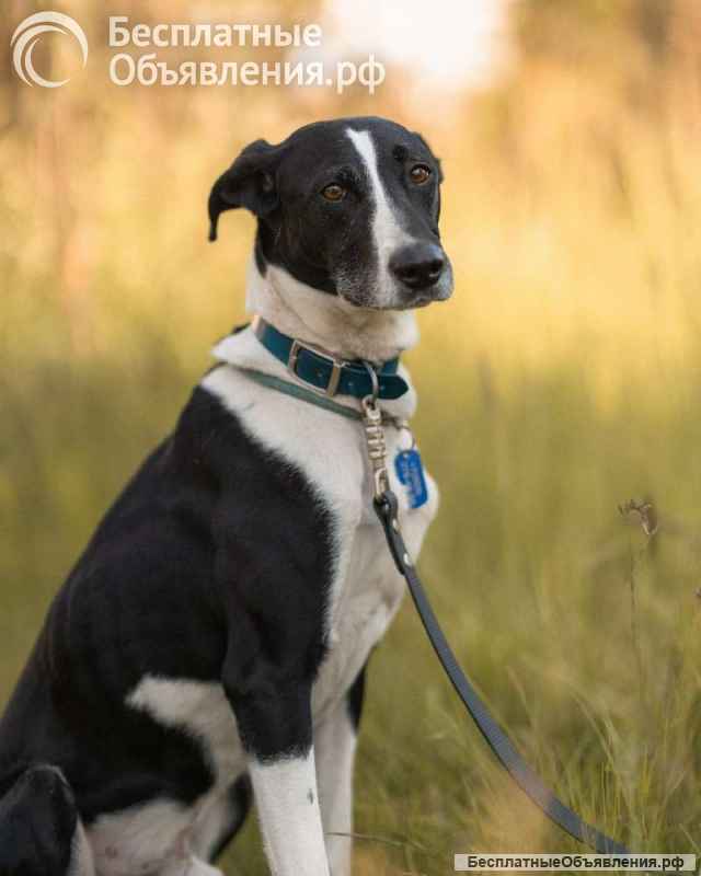 Тихон нуждается в новой истории