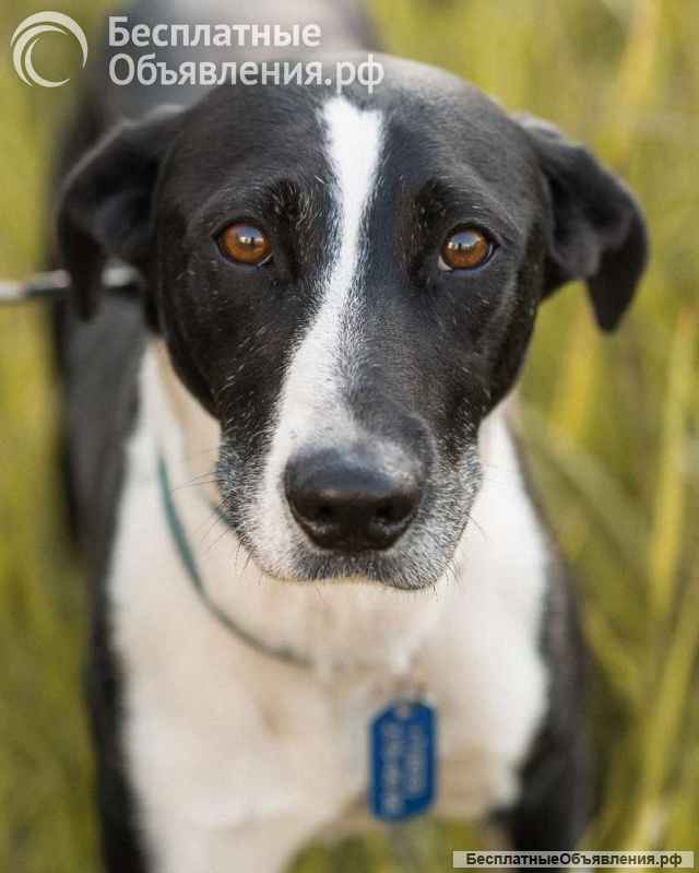 Тихон нуждается в новой истории