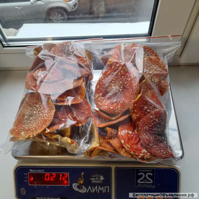 Сушенные шляпки красного мухомора
