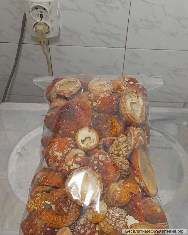 Сушенные шляпки красного мухомора