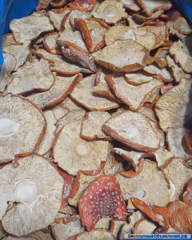 Сушенные шляпки красного мухомора