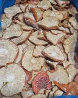 Сушенные шляпки красного мухомора