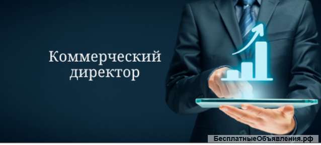 Коммерческий директор