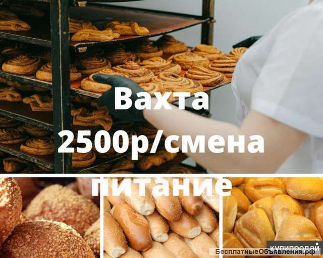 Работа упаковщик, вахта 15/30/45, проживание, питание, в Москве