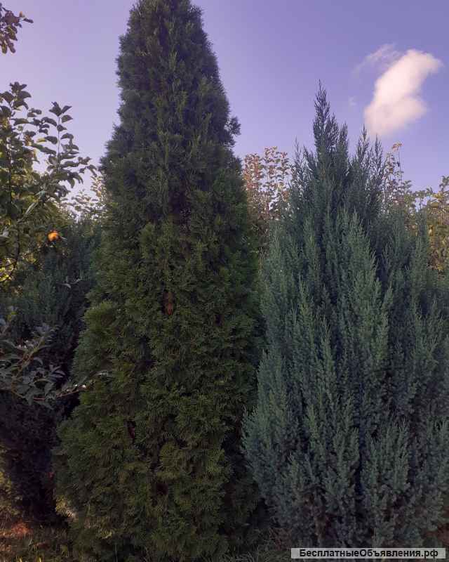 Дачу на ВАРВАРОВКЕ