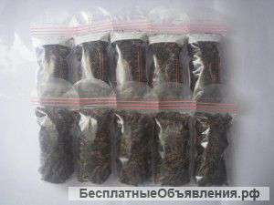 Цельная медведка
