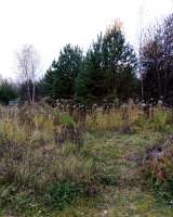 Дом Московская область