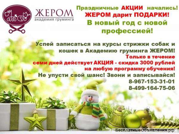 Объявляем набор на курсы стрижки собак