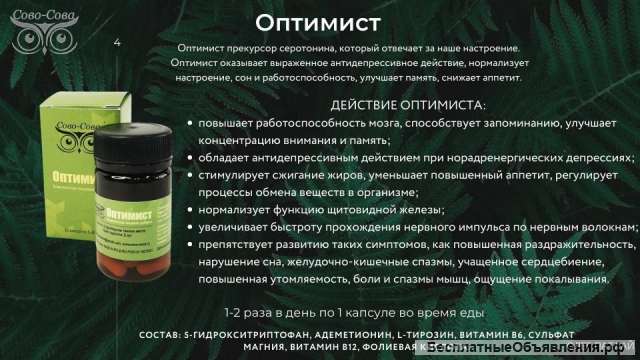 Продукция Бады компании Сово-Сова