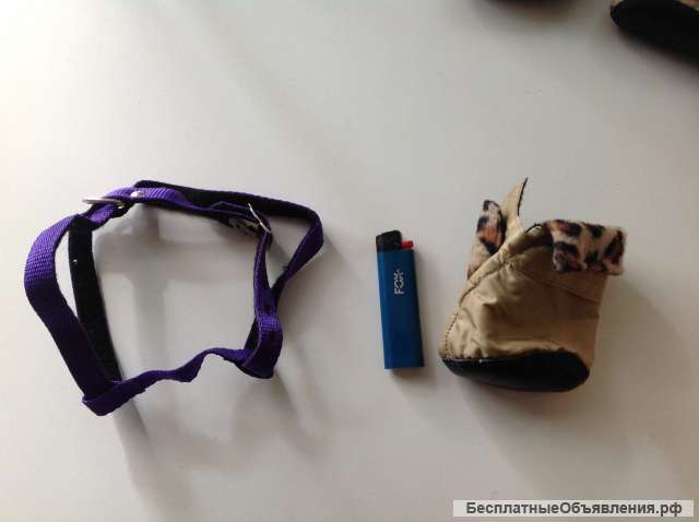 Собачьи ботинки и шлейка