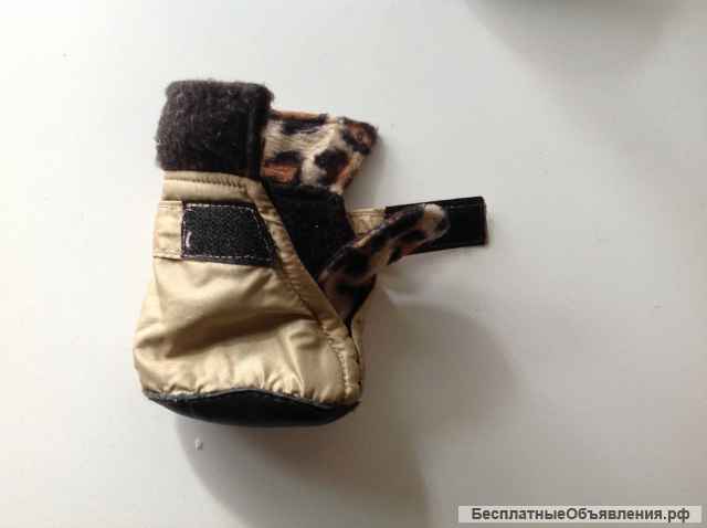 Собачьи ботинки и шлейка