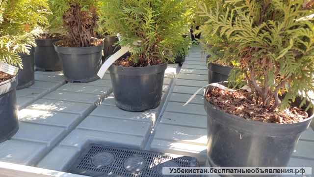 Столы с системой "прилив-отлив"