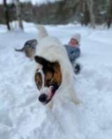Классная парочка очень хочет домой