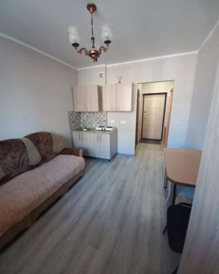 Студия 20 м2 с ремонтом Российский