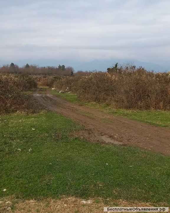 Участок в Гудауте Бамбора